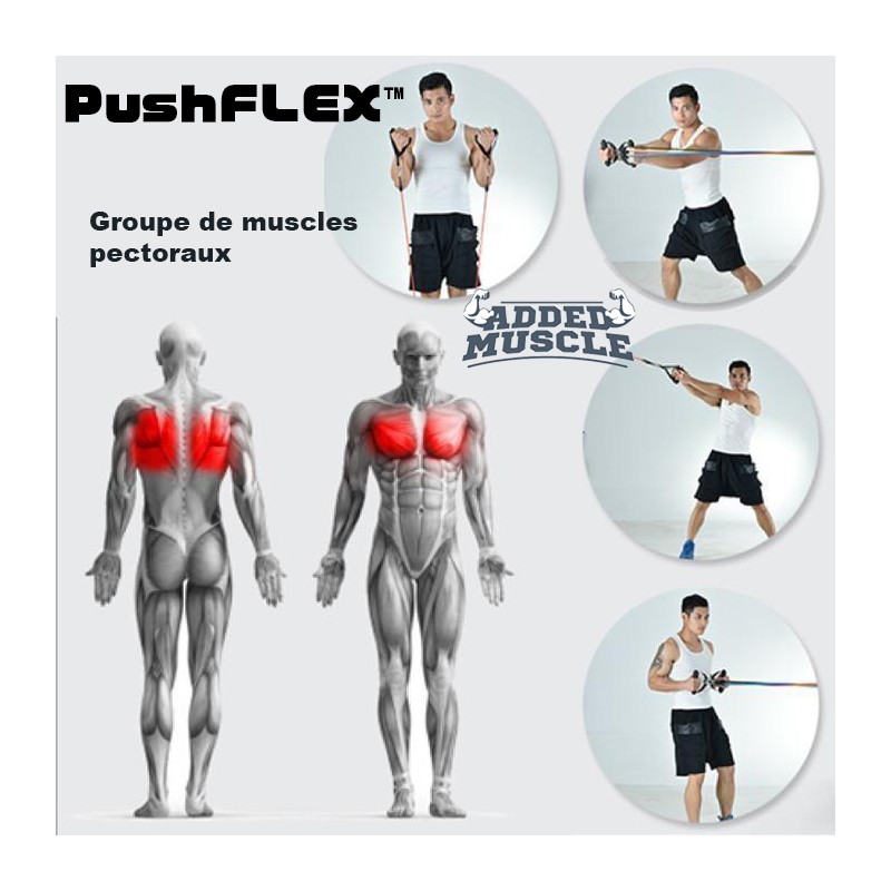 Elastique musculation fitness homme - femme - Pack XXL Prestige